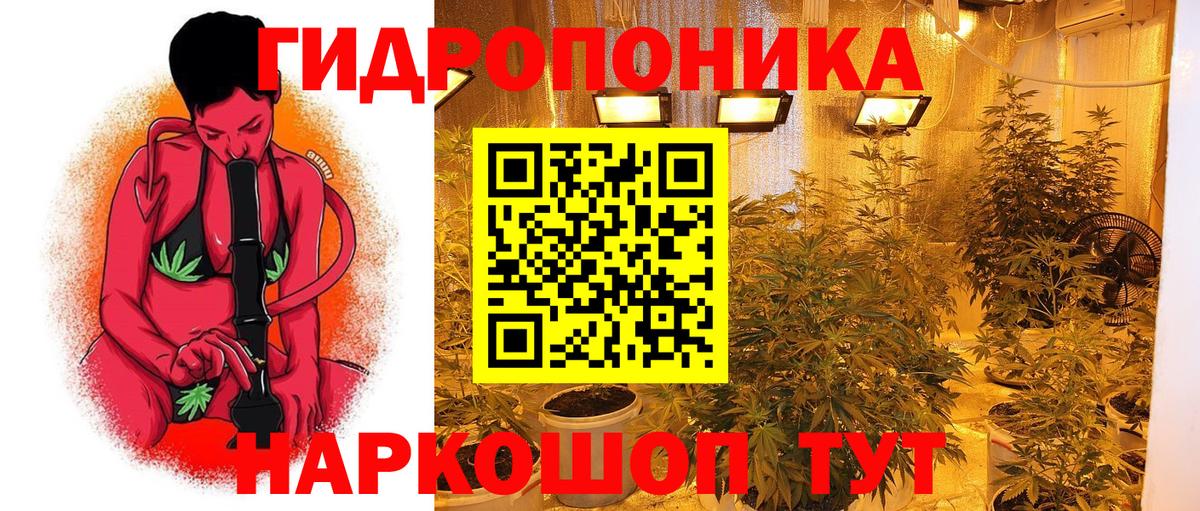 Канабис планчик  Шишки марихуана конопля  Стрежевой  Бошки Шишки ГИДРОПОН  Вход с VPN  МАРИХУАНА VHQ 